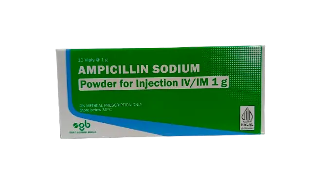 AMPICILLIN SODIUM 1000 MG SERBUK INJ @10 VIAL (BERNO)