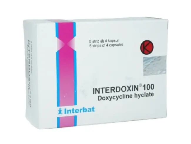 INTERDOXIN 100 MG (Box/20 Capsul)