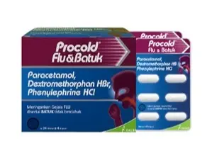 PROCOLD FLU BATUK PE (Box/24 Blister)