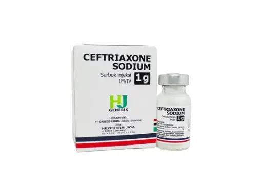 CEFTRIAXONE 1 G INJ @2 VIAL (HEXPHARM)