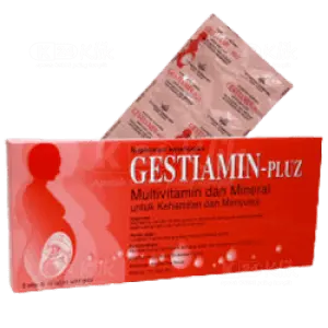 GESTIAMIN - PLUZ
