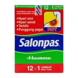 SALONPAS HOT (Box/100 Lmbr)